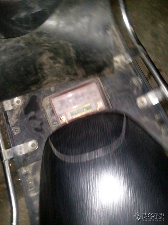 WP_003119.jpg