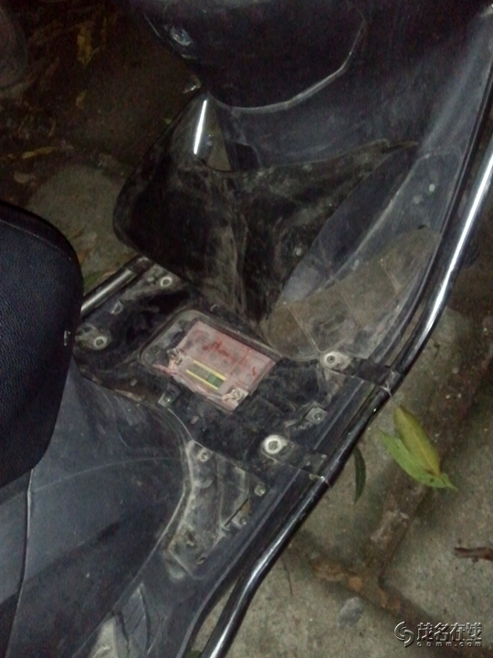 WP_003120.jpg