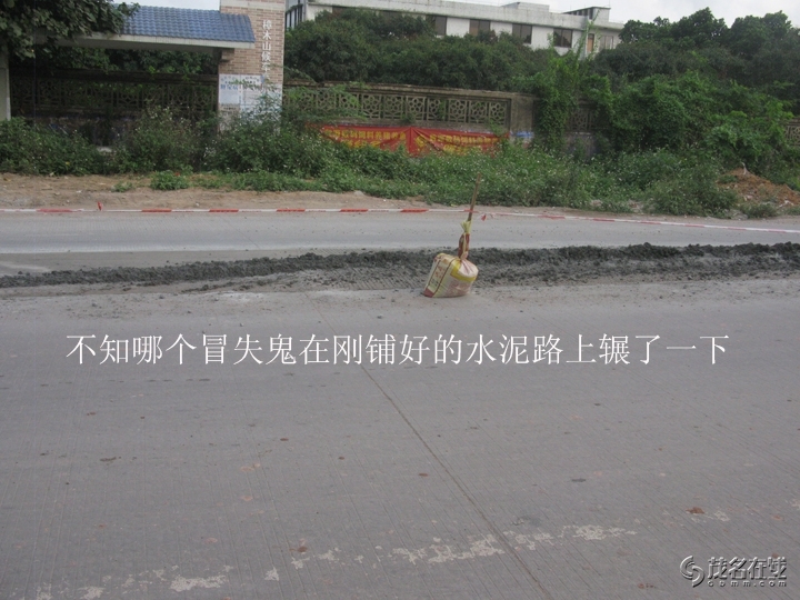 Ƭ 158.jpg