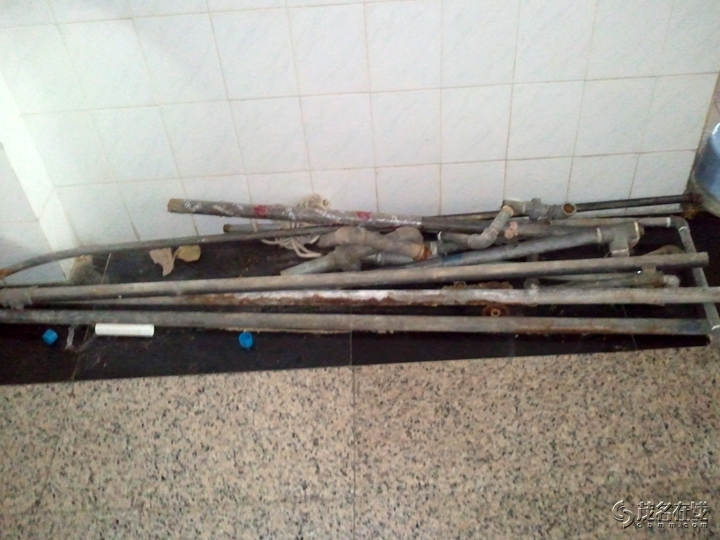 WP_003376.jpg