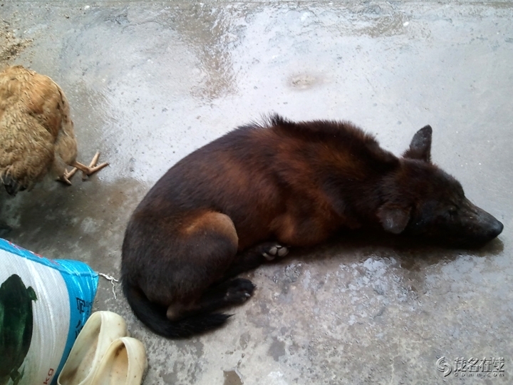 WP_003443.jpg