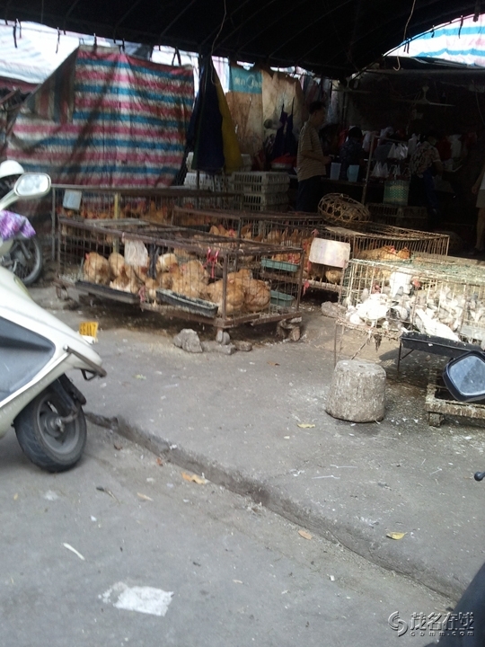 WP_003494.jpg
