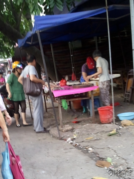 WP_003497.jpg