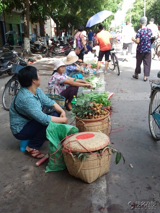 WP_003500.jpg