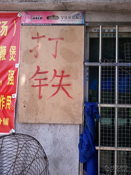 WP_003564.jpg