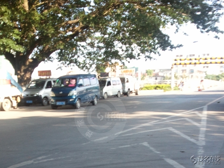 WP_003584.jpg