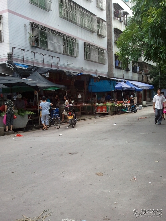 WP_003652.jpg