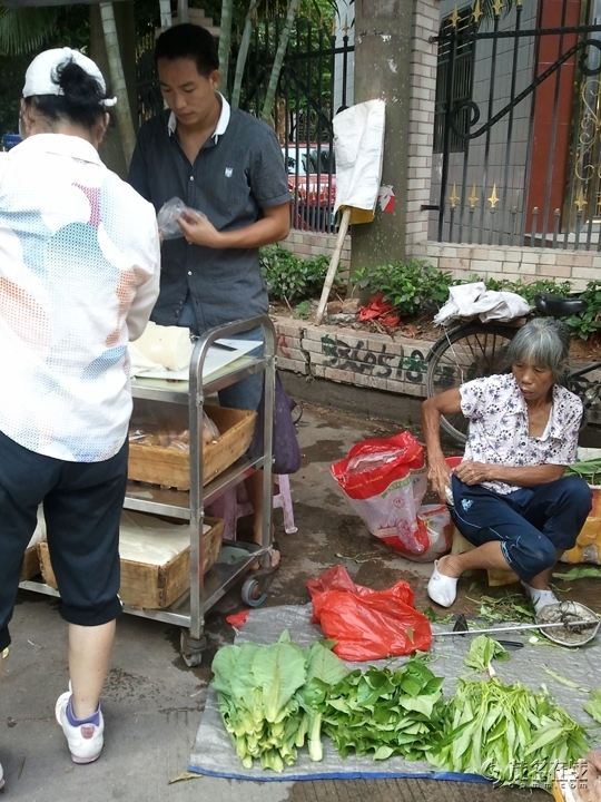 WP_003649.jpg