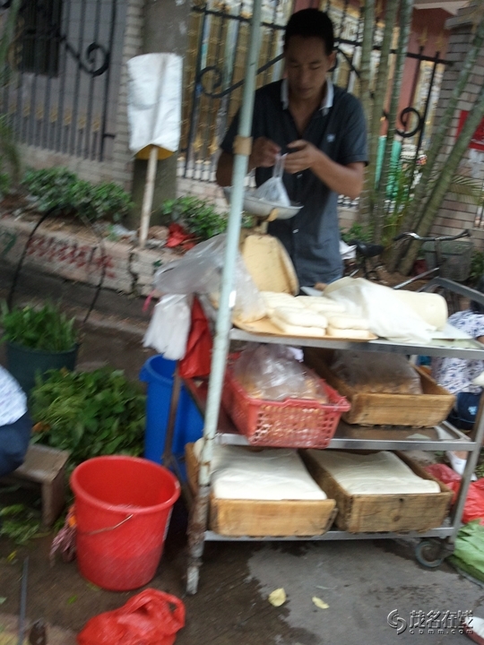 WP_003651.jpg