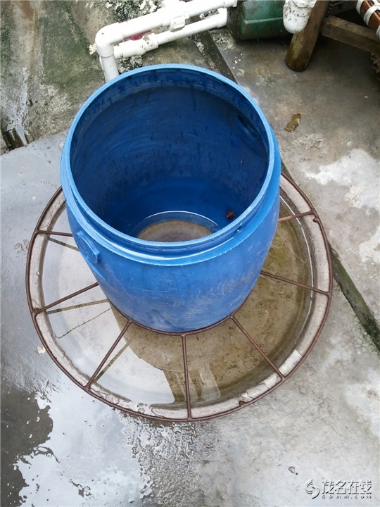 WP_003719.jpg