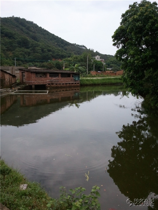WP_003741.jpg