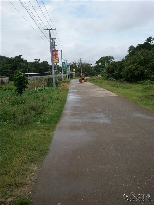 WP_003747.jpg