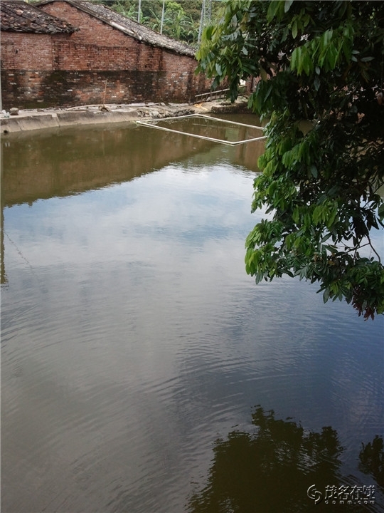 WP_003795.jpg