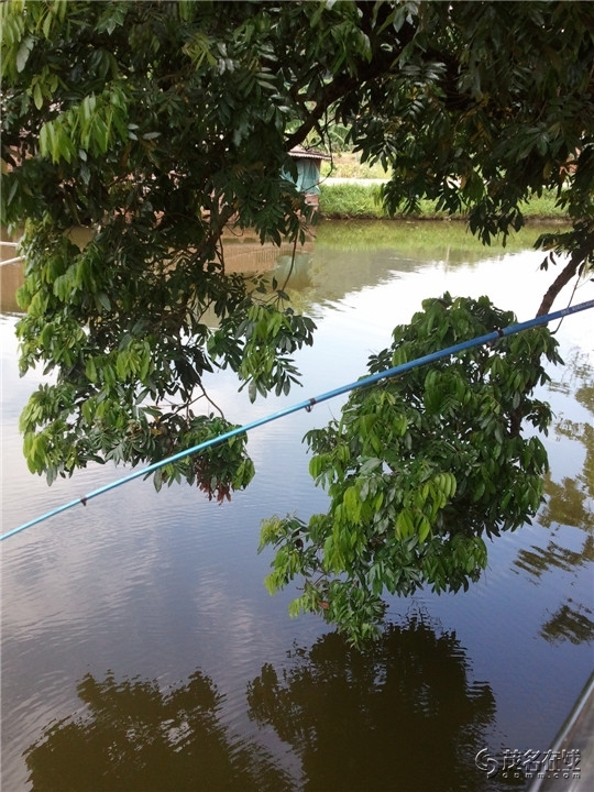WP_003796.jpg
