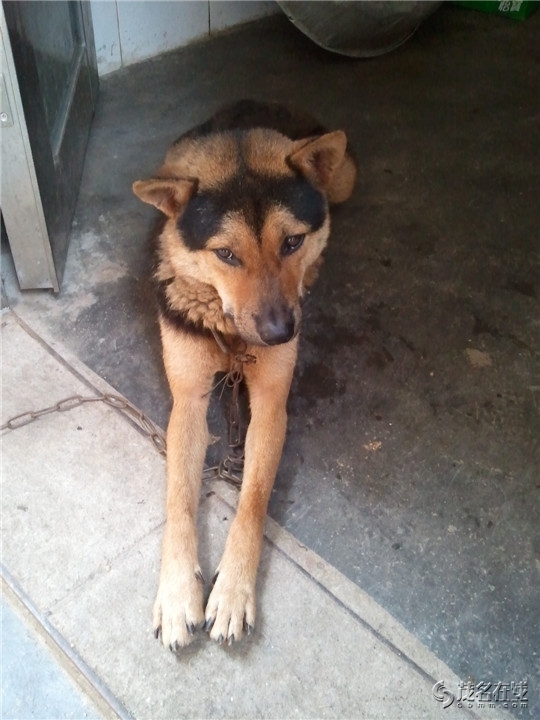 WP_003826.jpg