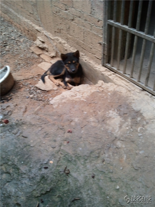 WP_003712.jpg