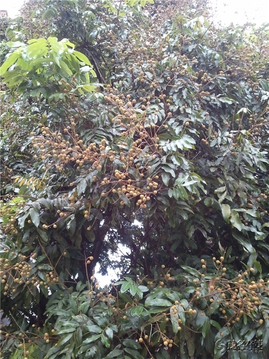 WP_003725.jpg