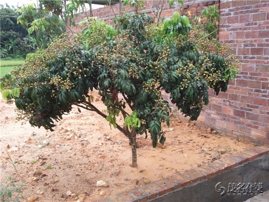 WP_003729.jpg