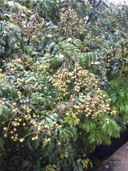 WP_003731.jpg