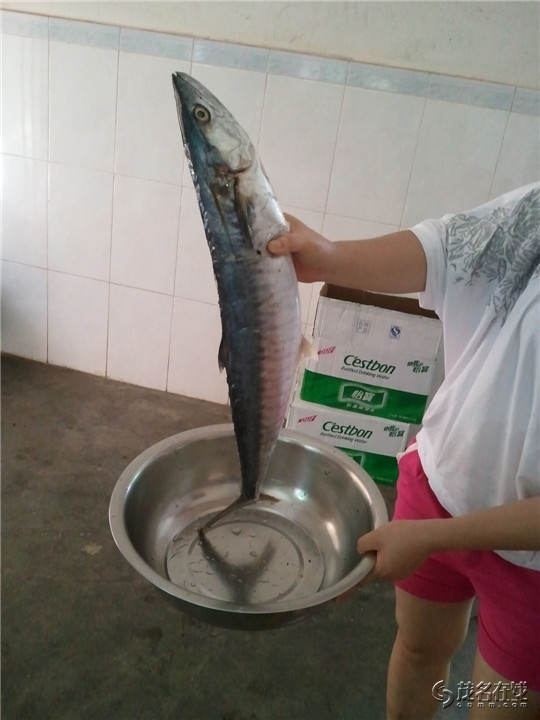 WP_003810.jpg