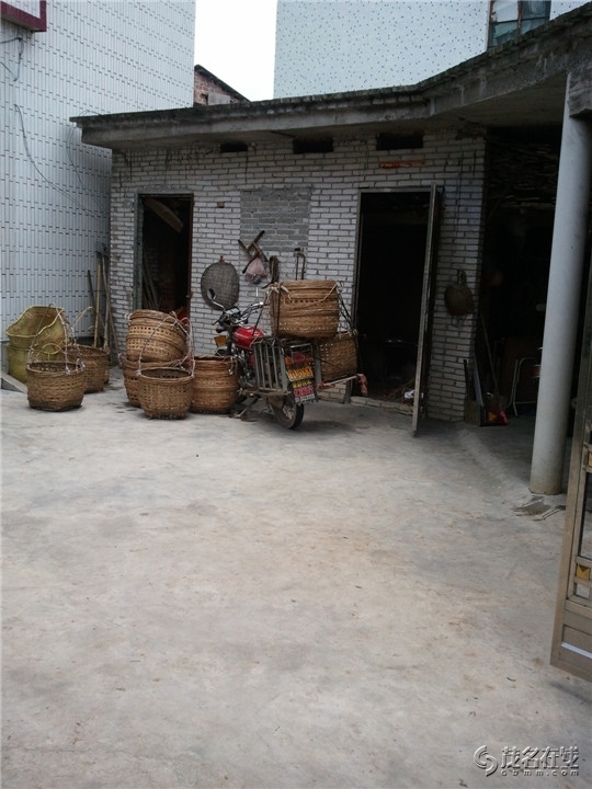 WP_003791.jpg