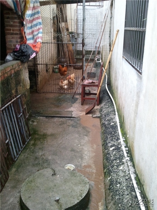 WP_003720.jpg
