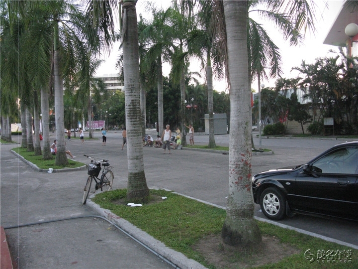 Ƭ 019.jpg