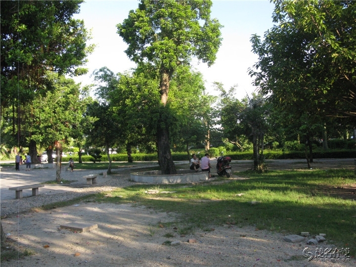 Ƭ 036.jpg