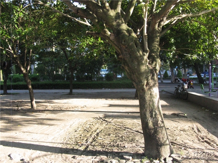 Ƭ 037.jpg