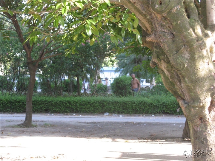 Ƭ 038.jpg