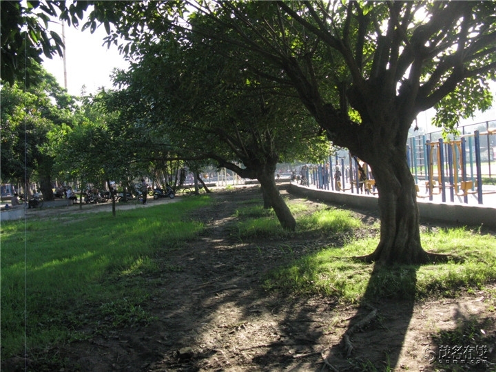 Ƭ 059.jpg