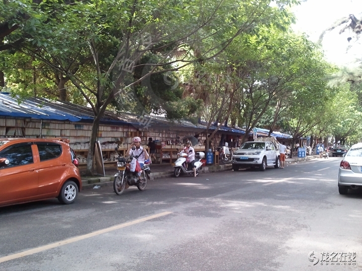 WP_003944.jpg