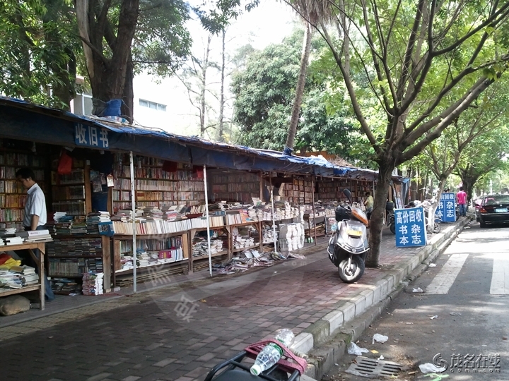 WP_003948.jpg