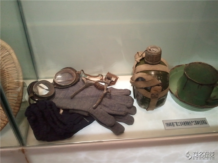 WP_004060.jpg