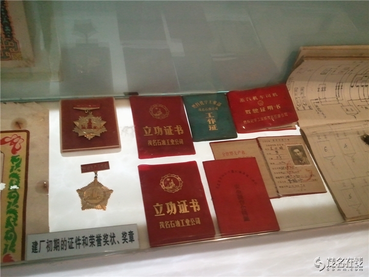 WP_004057.jpg