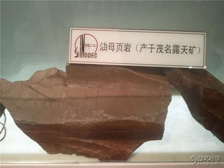 WP_004064.jpg