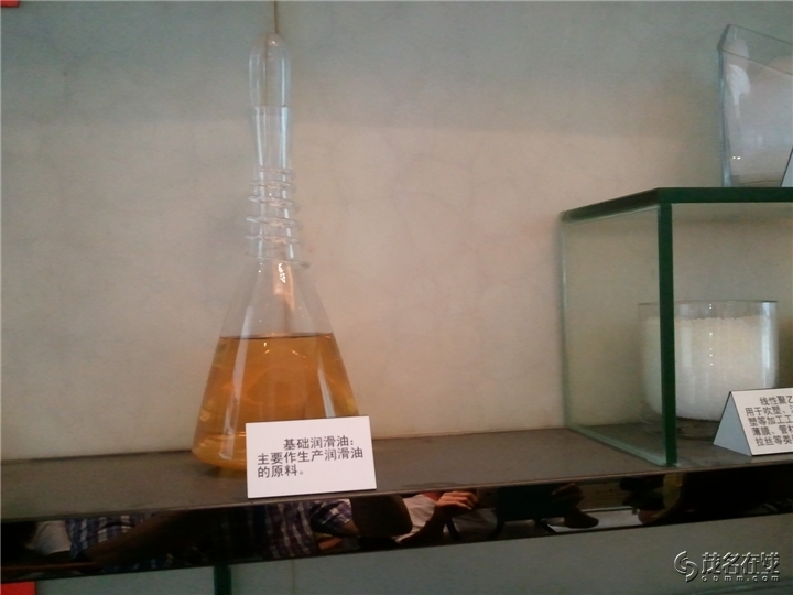 WP_004074.jpg