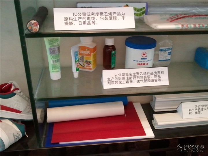 WP_004075.jpg