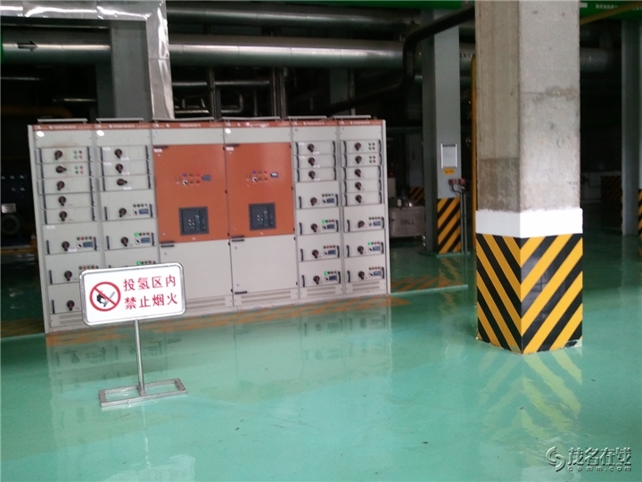 WP_004156.jpg