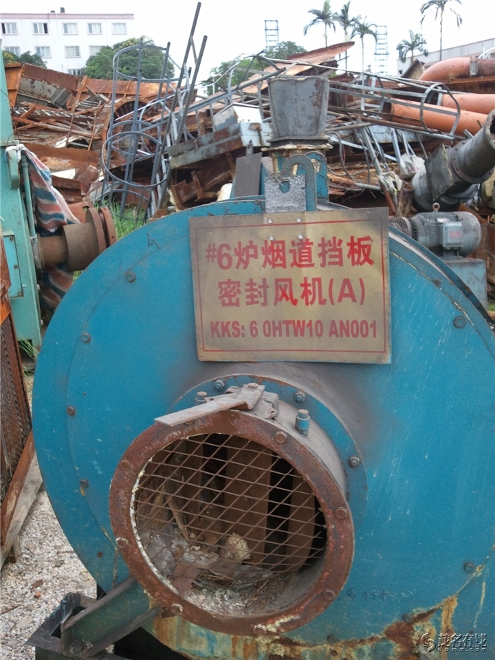 WP_004176.jpg