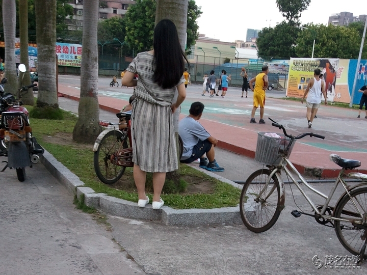 WP_004256.jpg