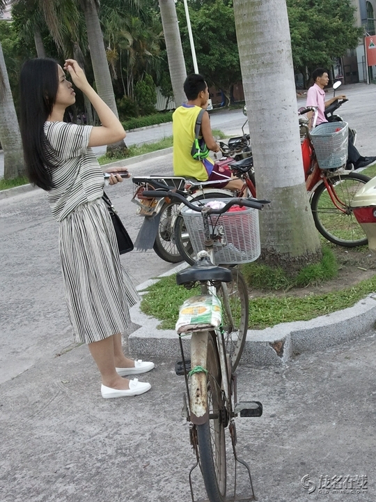 WP_004253.jpg