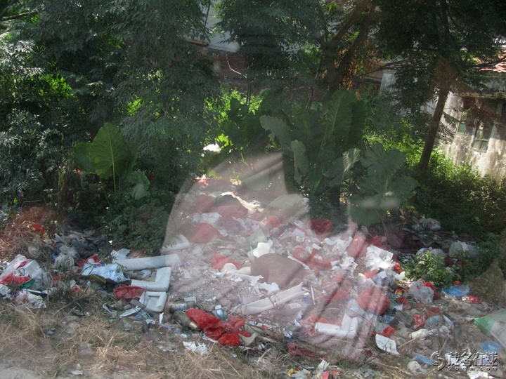 Ƭ 010.jpg
