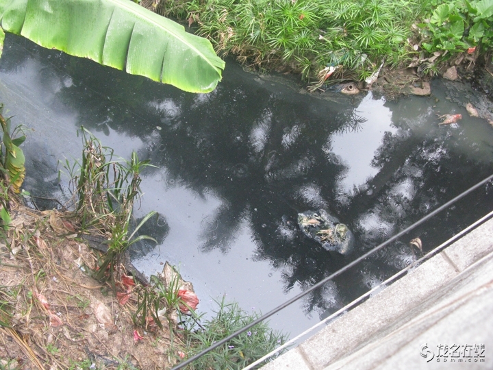 Ƭ 089.jpg