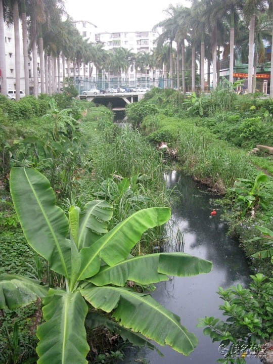 Ƭ 092.jpg