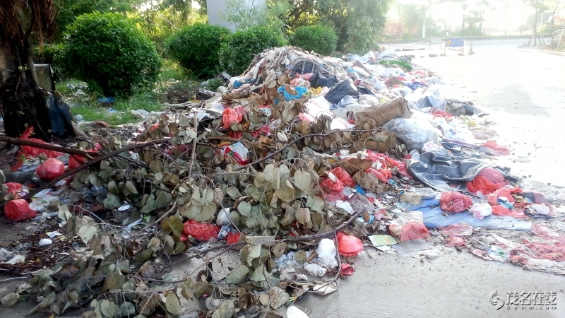 20140714_065359.jpg