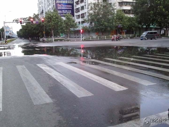 WP_004825.jpg