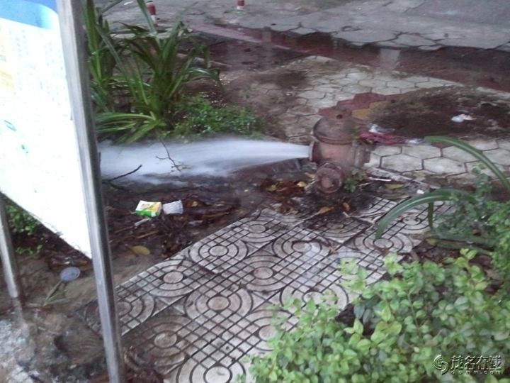 WP_004817.jpg