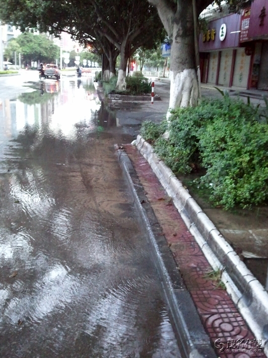 WP_004820.jpg
