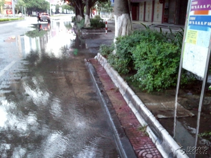 WP_004821.jpg